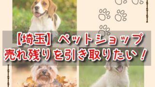 埼玉　ペットショップ売れ残りの犬を引き取りたい