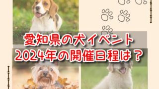 愛知　犬イベント