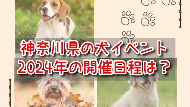 神奈川　横浜　犬イベント