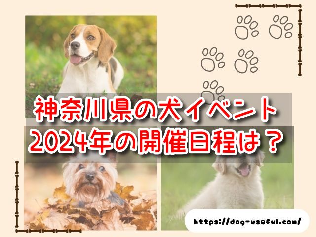 神奈川　横浜　犬イベント