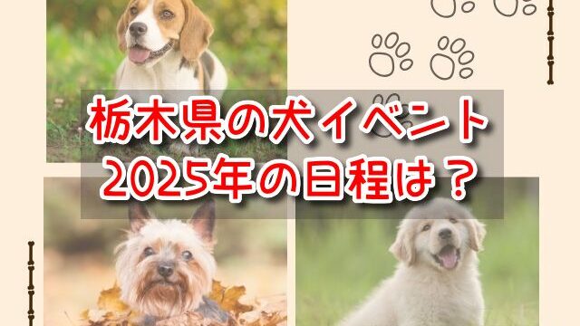 栃木県　犬イベント