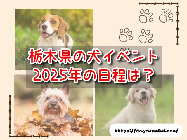 栃木県　犬イベント