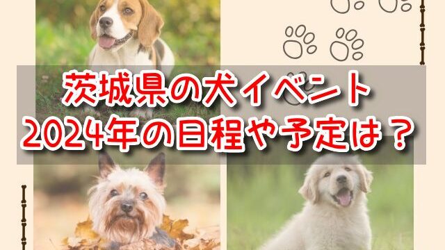 茨城県　犬イベント