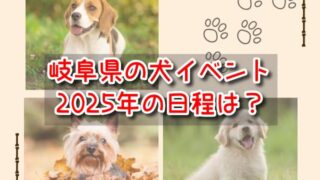 岐阜県　犬イベント