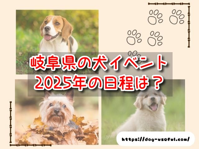 岐阜県　犬イベント