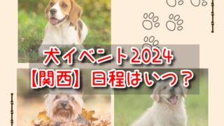 犬　イベント