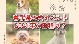 岩手県　犬イベント