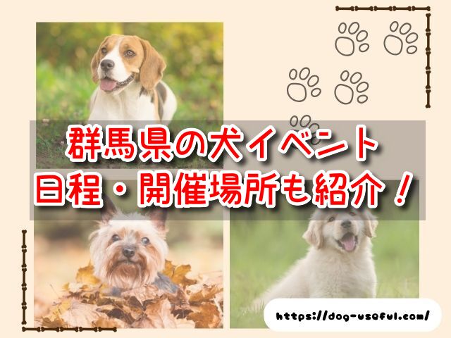 群馬県　犬イベント