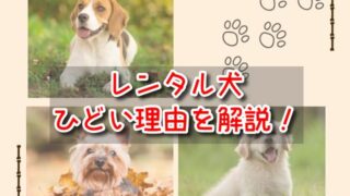 レンタル犬　ひどい