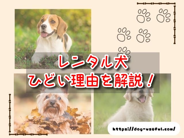 レンタル犬　ひどい