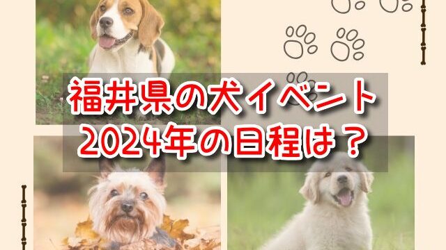 福井県　犬イベント