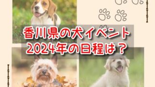 香川県　犬イベント